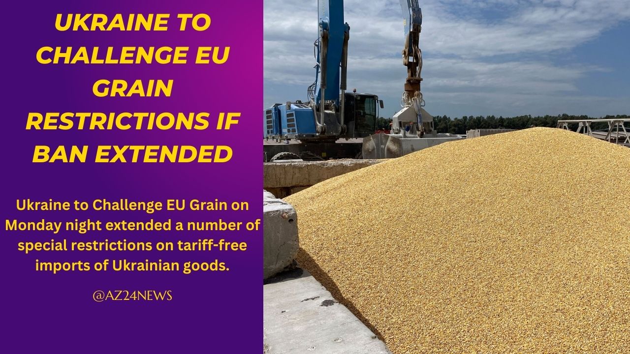 Ukraine to Challenge EU Grain Restrictions if Ban Extended